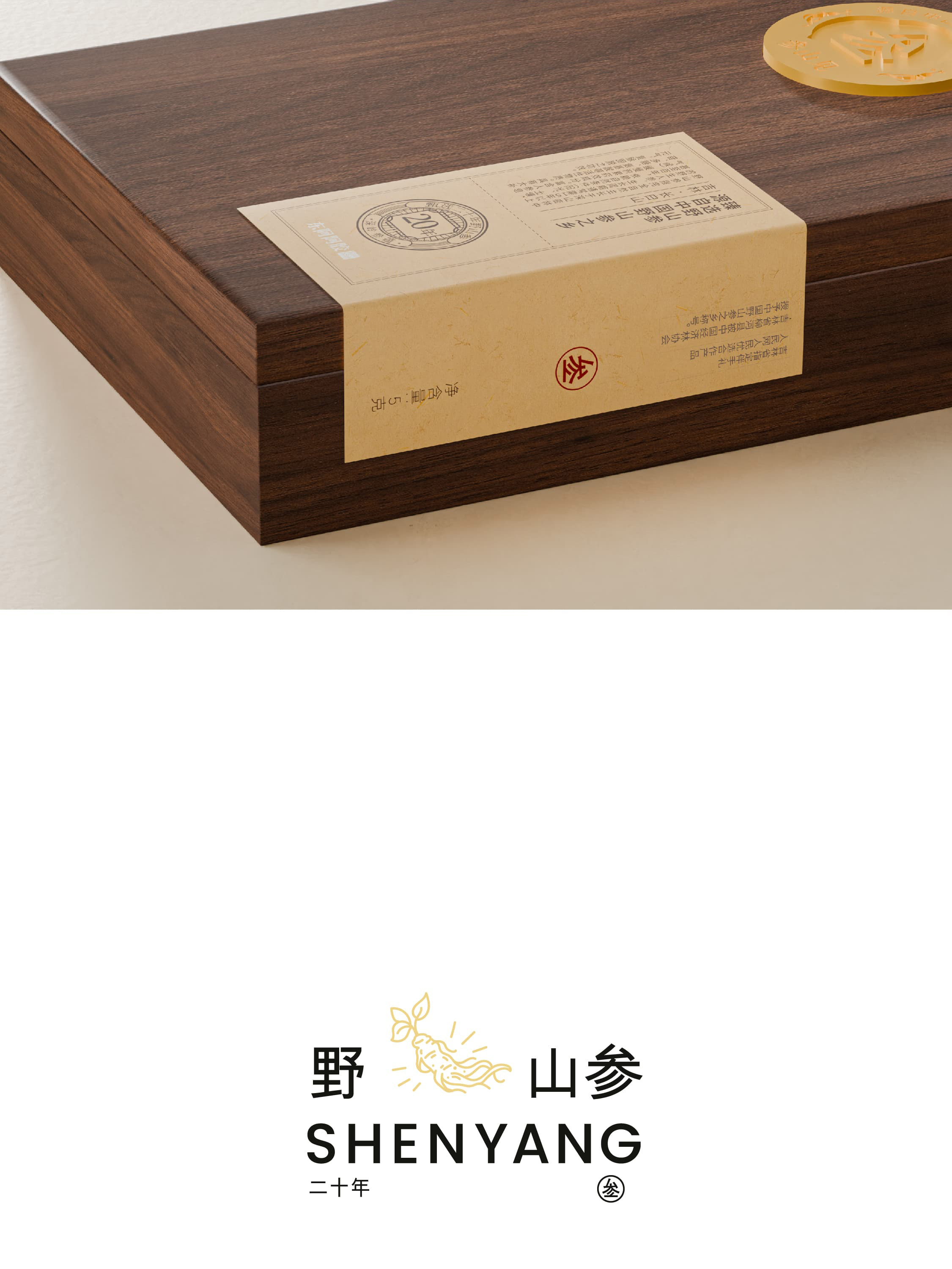 东阿阿胶·参山见|项目设计展示 4|瞳创设计