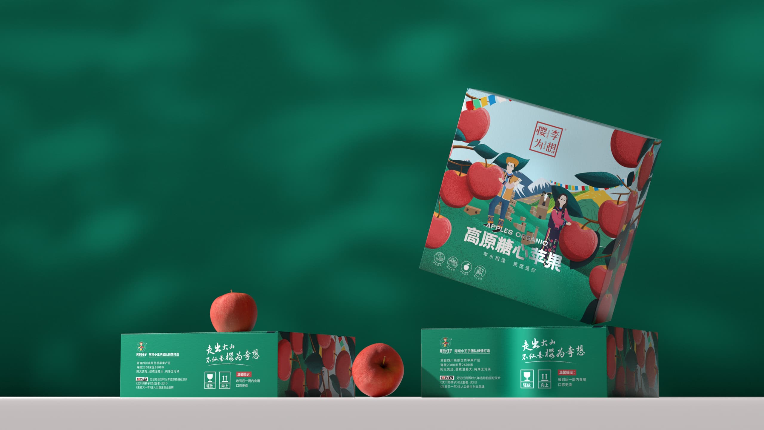 樱为李想品牌设计案例